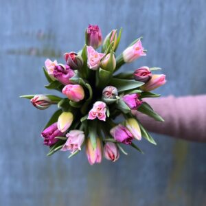 Tulipan buket - Send blomster - Happyflower-dk