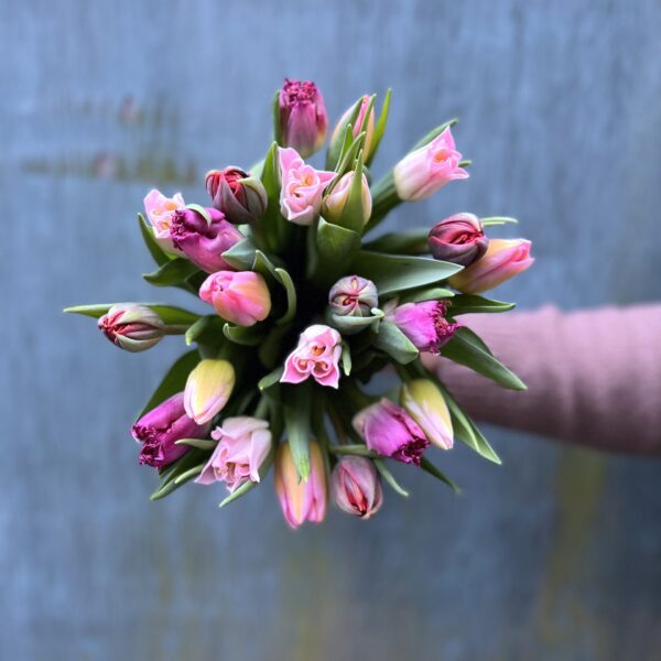 Tulipan buket - Send blomster - Happyflower-dk