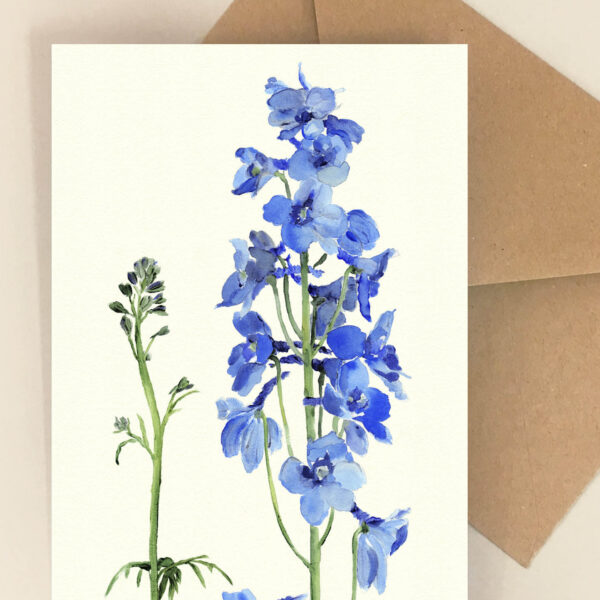 Blomsterkort Delphinium - Happyflower-dk