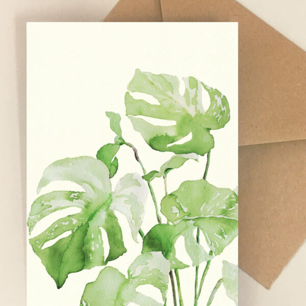Blomsterkort Monstera Albo - Happyflower-dk