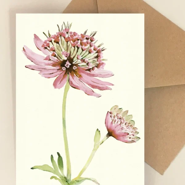 Blomsterkort Astrantia - Dorthe Svarrer - Happyflower-dk